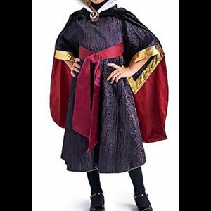 Disney Store Evil Queen Costume